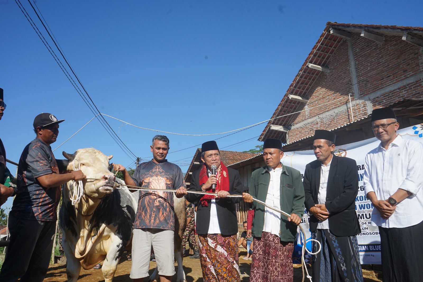 Presiden Prabowo Sumbang Sapi 1,1 Ton untuk Warga Kaliwuluh Kepil