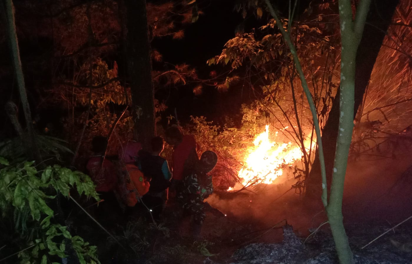 kebakaran Hutan di Kalikajar, 1,22 Hektare Terbakar