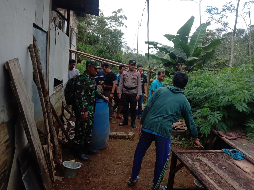 PERBAIKI JARINGAN DESA KARENA POHON TUMBANG, 5 ORANG TERSENGAT LISTRIK