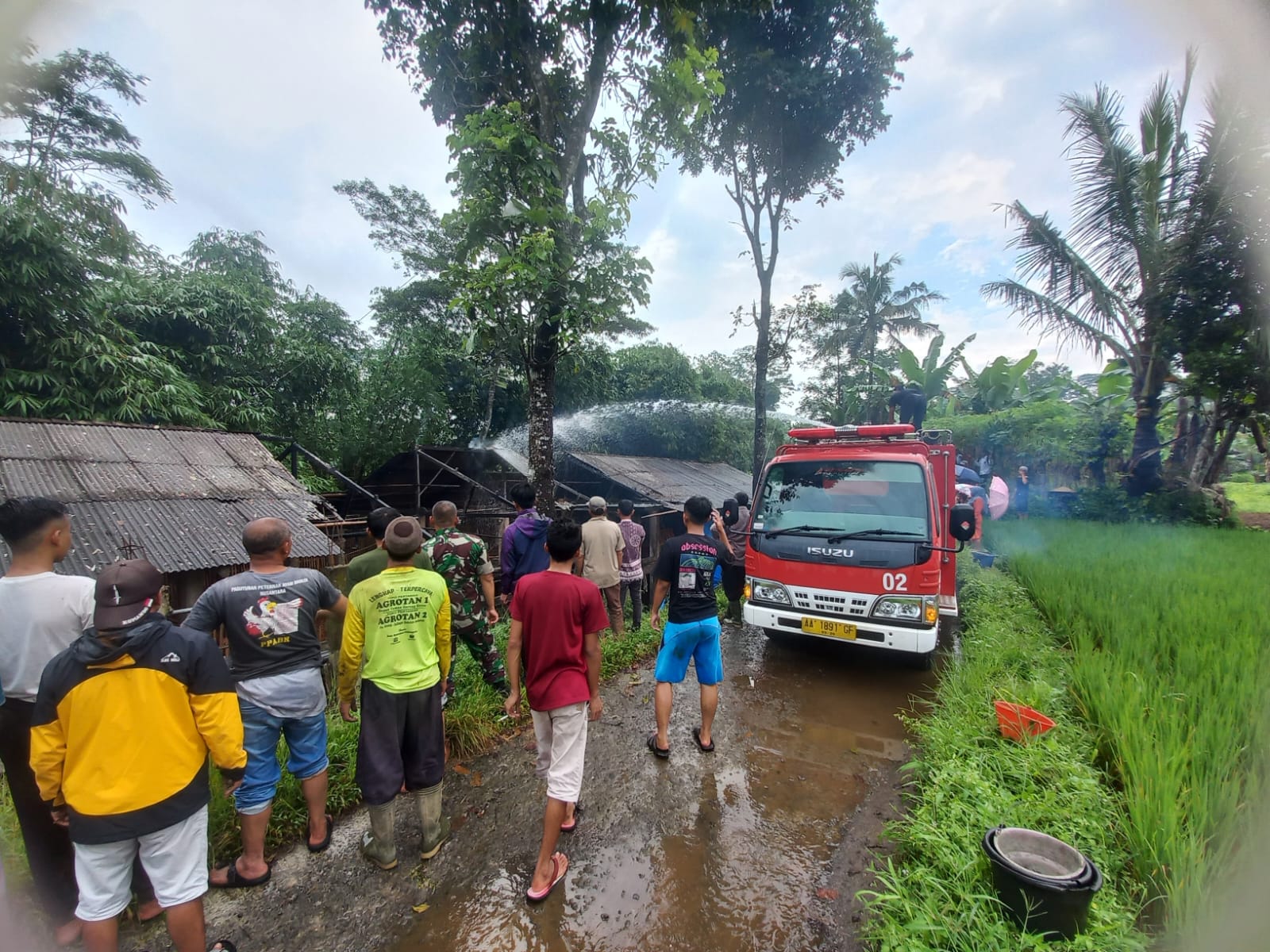 KEBAKARAN HEBAT LANDA KANDANG AYAM DI NGADISALAM