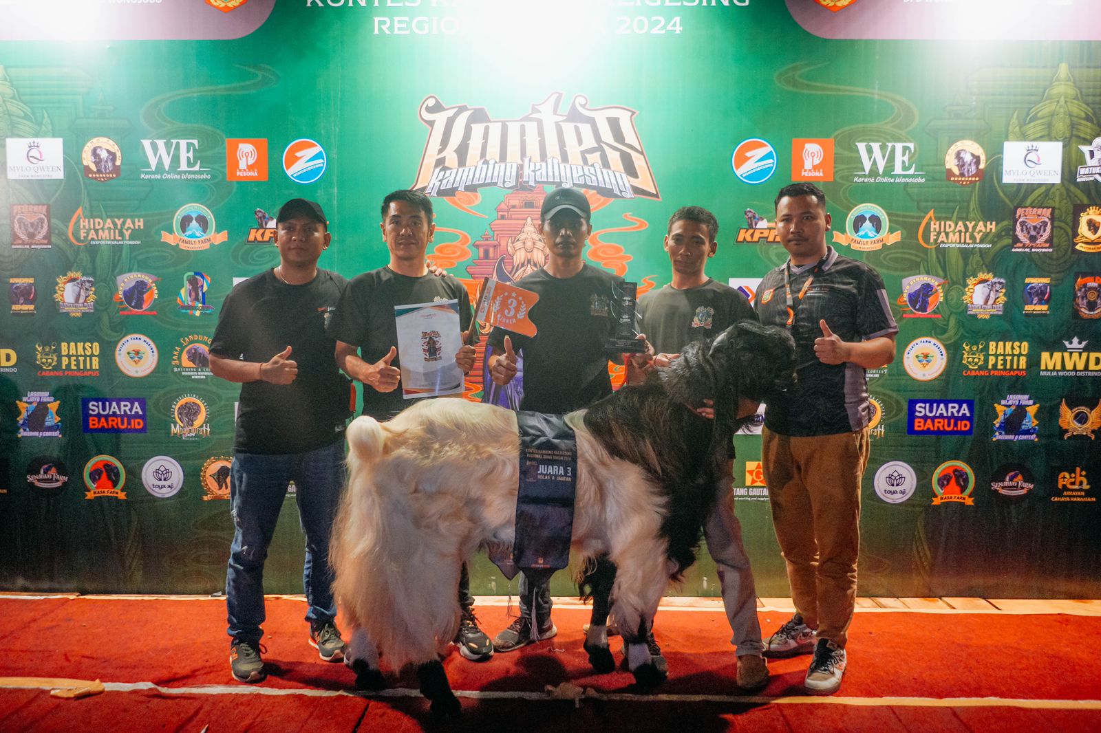 KAMBING SEHARGA RATUSAN JUTA RUPIAH IKUTI KONTES KAMBING KALIGESING DI WONOSOBO