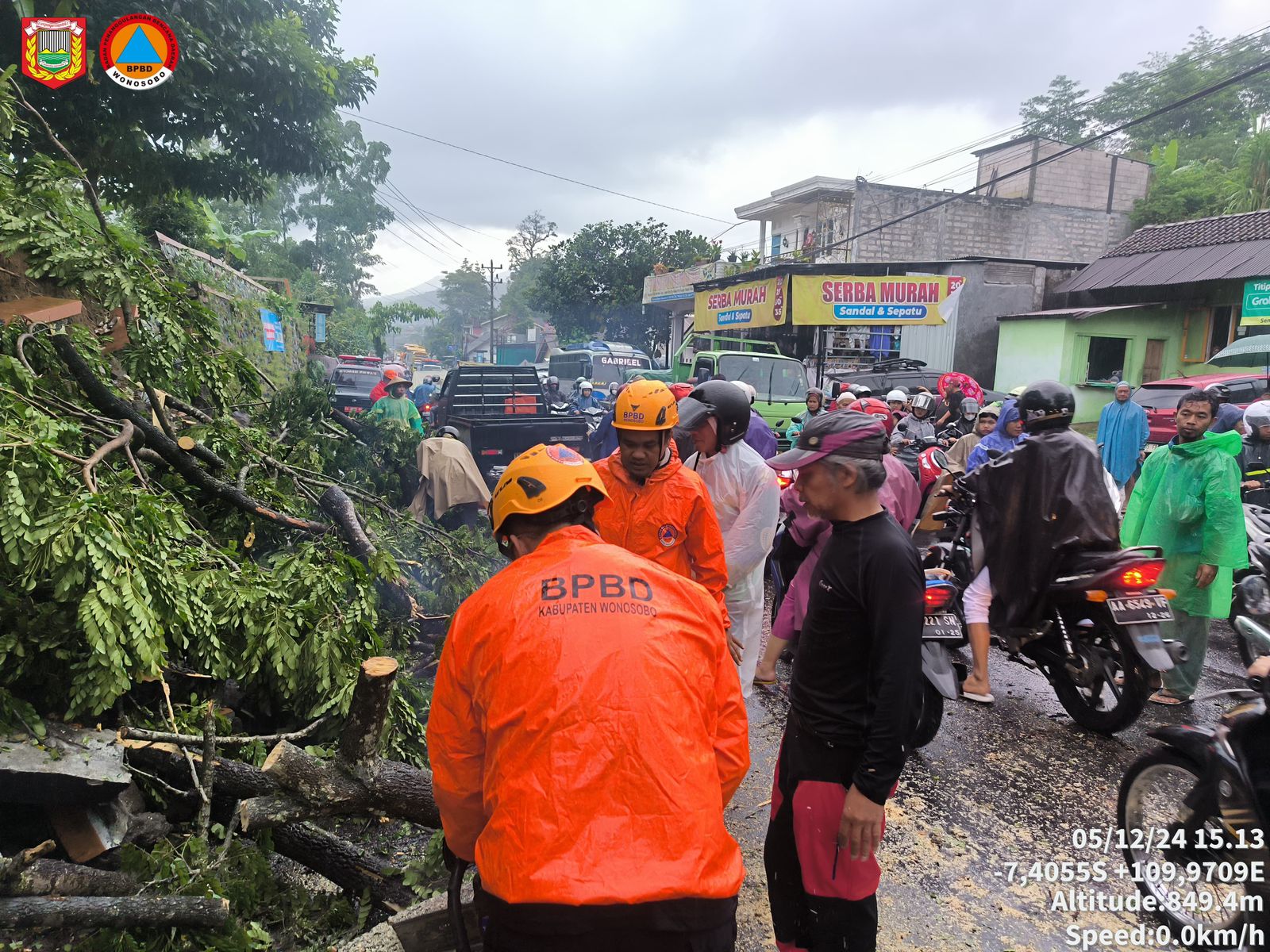 POHON TUMBANG TUTUP AKSES JALAN, LALU LINTAS LUMPUH 45 MENIT