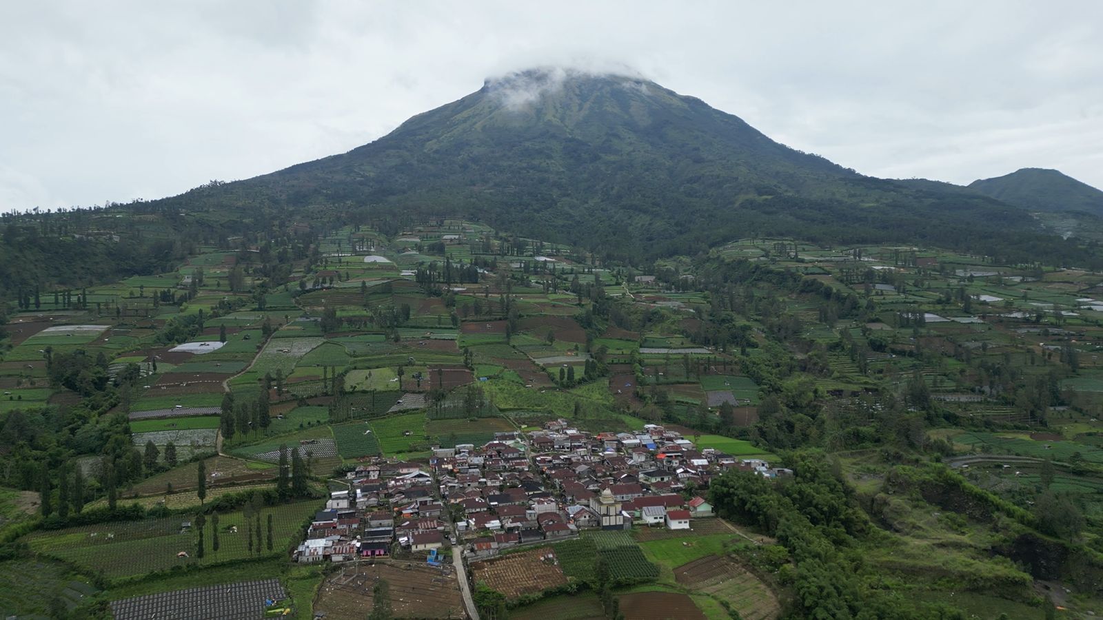 KELOMPOK TANI SINDORO MULYO TETAP PRODUKTIF TANPA MERUSAK HUTAN
