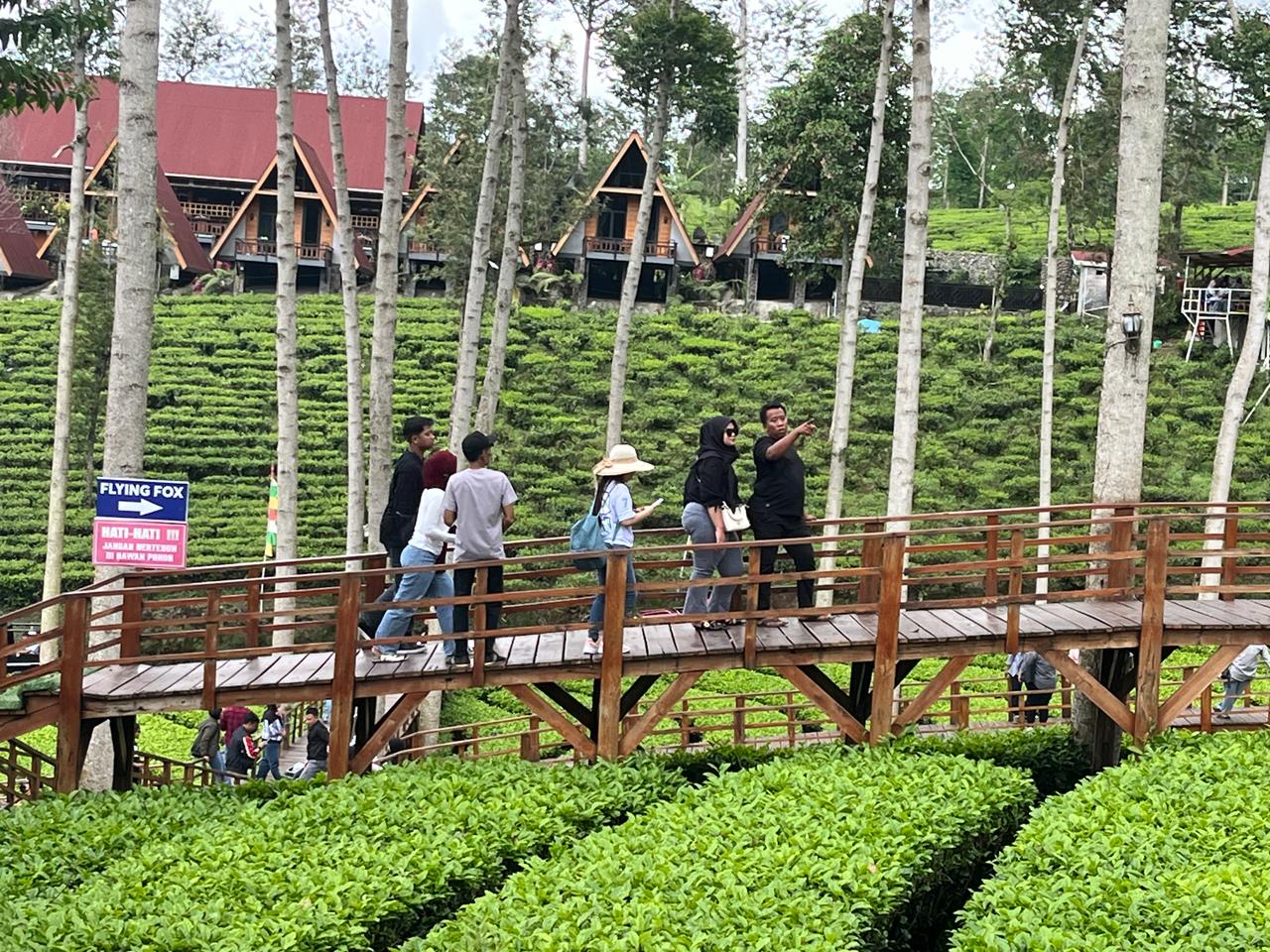 KUNJUNGAN WISATA WONOSOBO CAPAI 197.031 PENGUNJUNG PADA AKHIR TAHUN 2025