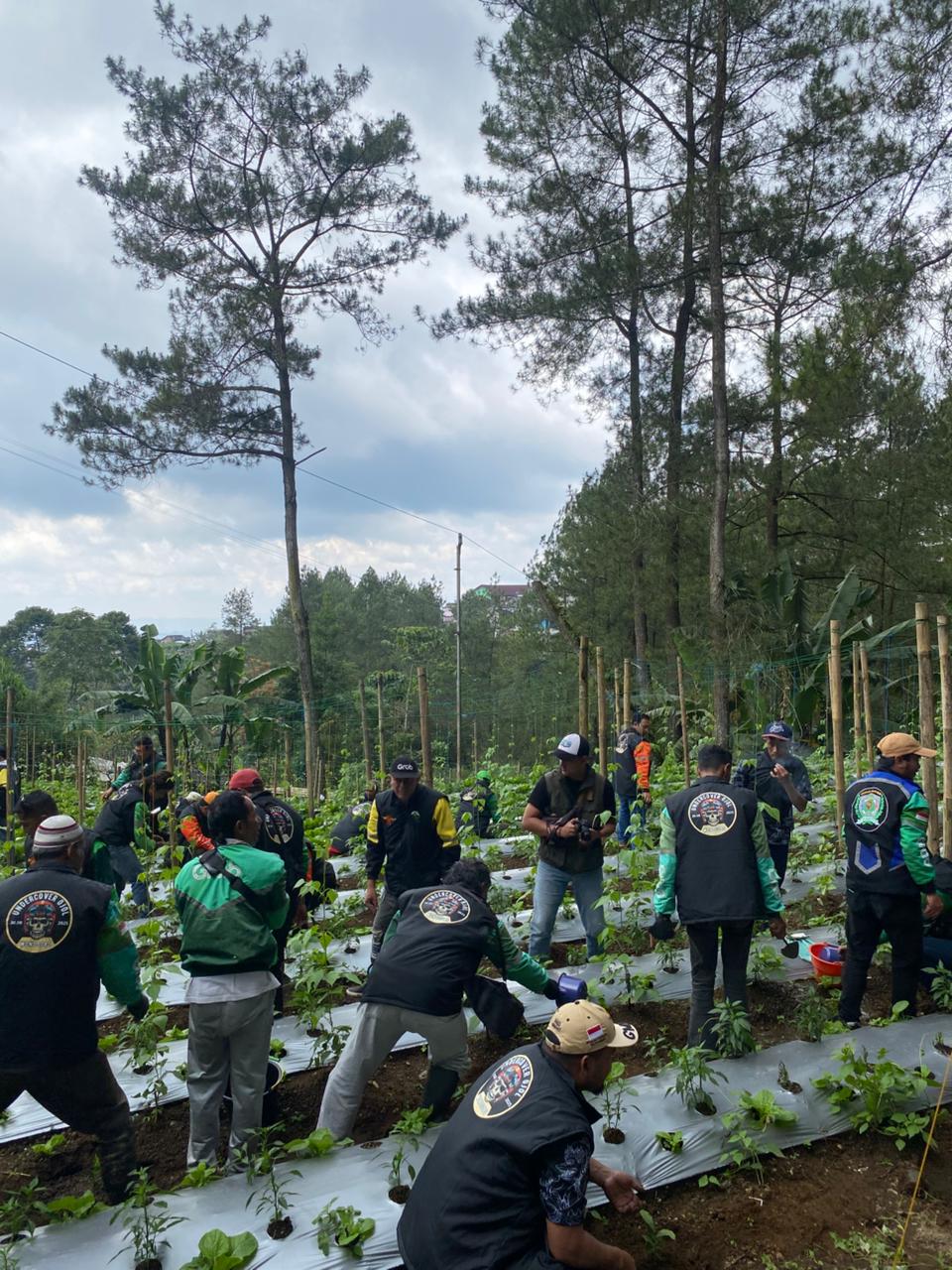 JATUBU DAN DRIVER OJEK ONLINE TANAM 10 RIBU BIBIT POHON DI KAWASAN TELAGA MENJER