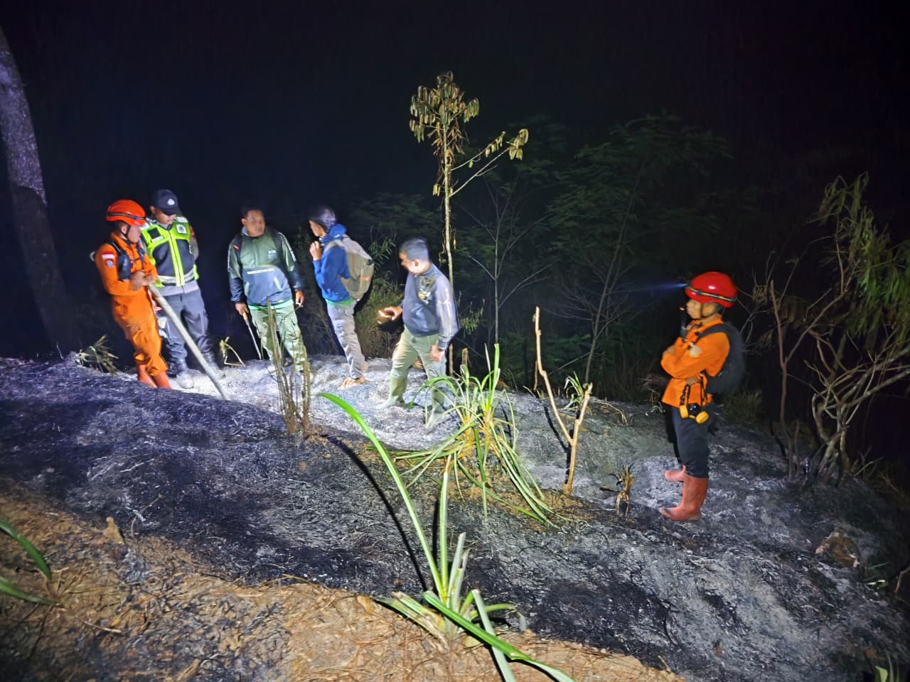 Karhutla di Perbatasan Kaliwiro-Kalikajar, Seperempat Hektar Lahan Terbakar