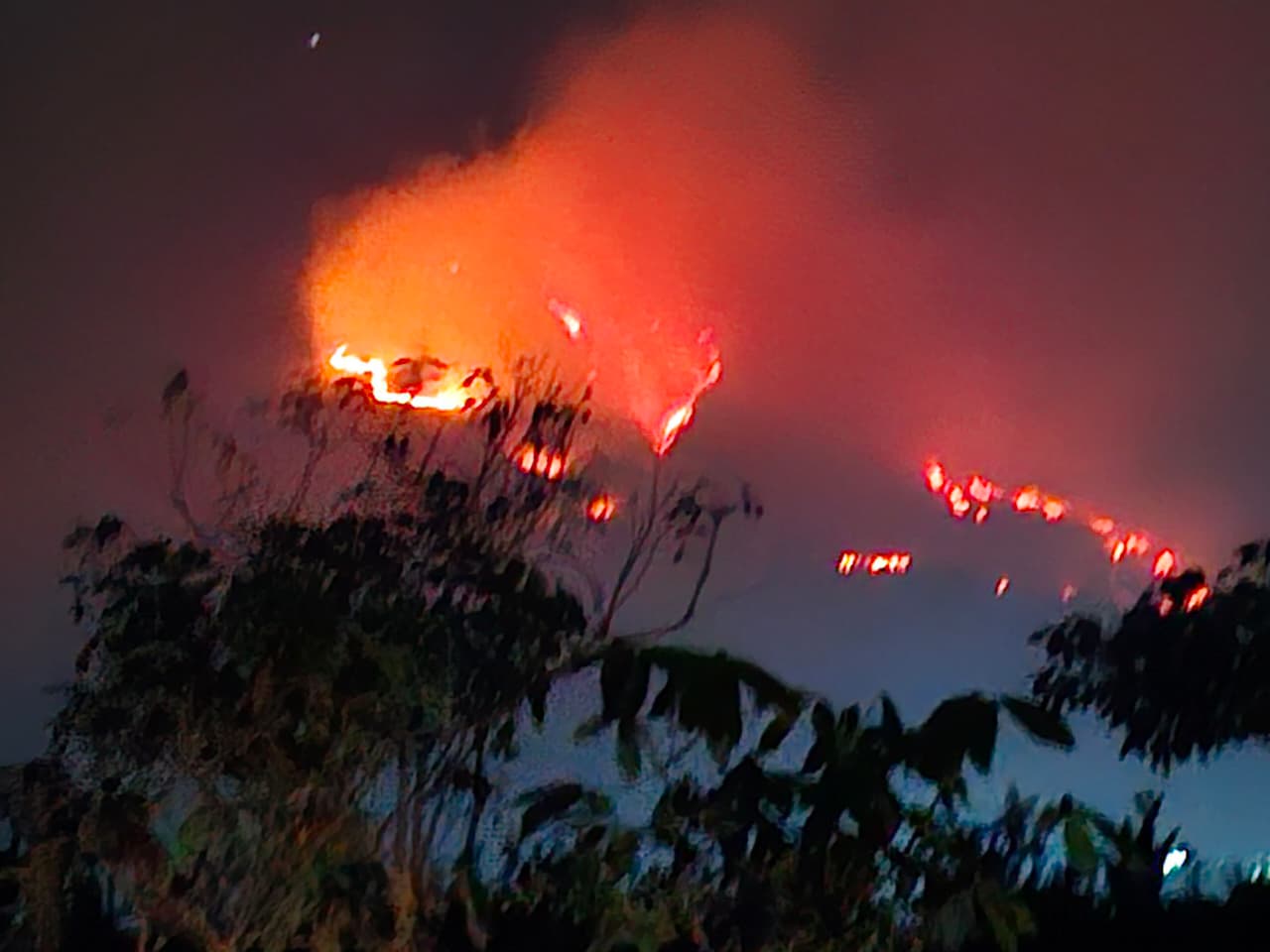 Kebakaran Hutan Gunung Sumbing di Ketinggian 2.700 Mdpl