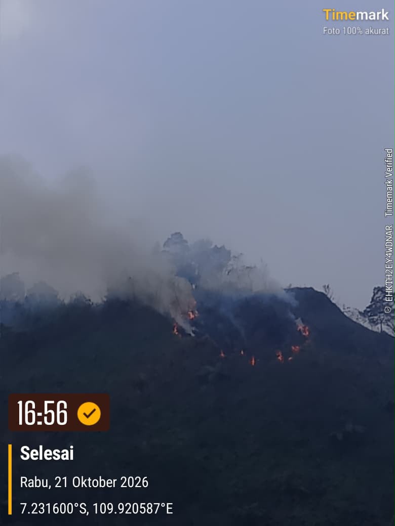 Sempat Terbakar Kembali, Kebakaran Hutan Gunung Pakuwaja Wonosobo Akhirnya Padam