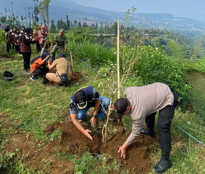 Sejumlah Relawan Kembali Tanam Pohon di Sepanjang Jalisu Untuk Perkuat Struktur Tanah